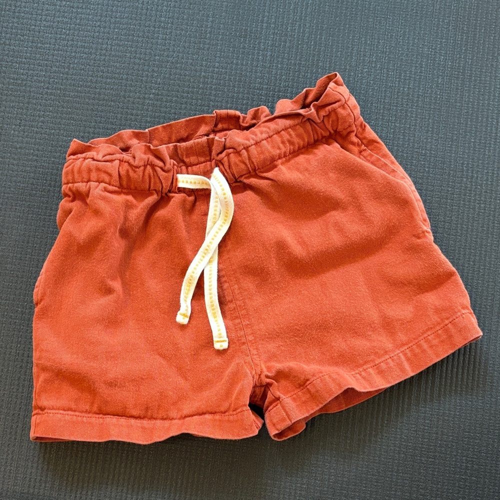 Little Green Radicals by the sea twill shorts